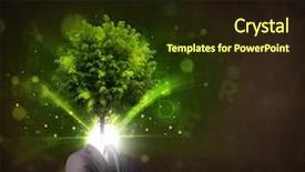  Presentation with environmental psychology man green - Presentation consisting of environmental psychology - man with green tree head background and a wine colored foreground