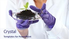  Presentation with silver fern black white flag - Cool new PPT layouts with environmental research - lab assistant holds small flat backdrop and a sky blue colored foreground