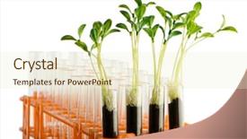  Presentation with green science - Colorful slide deck enhanced with environmental science - lab experiment with green leaves backdrop and a cream colored foreground