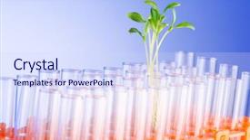  Presentation with green science - Amazing slide set having environmental science - lab experiment with green seedlings backdrop and a sky blue colored foreground