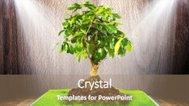  Presentation with growing tree - PPT theme consisting of environmental science - tree growing from a book background and a coral colored foreground