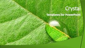  Presentation with environmental leaf - Slides with environmental science - water drop on leaf background and a tawny brown colored foreground