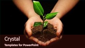  Presentation with black hands - Beautiful presentation theme featuring environmental sustainability - hands holding sapling in soil backdrop and a wine colored foreground