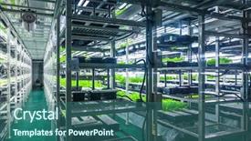  Presentation with system engineering - Beautiful PPT theme featuring environmental water engineering - plants are cultivated in hydroponic backdrop and a ocean colored foreground