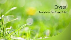  Presentation with mindfulness green - PPT theme with field - mindfulness meditation mental health background and a yellow colored foreground