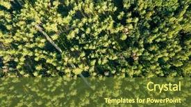  Presentation with green foliage - Presentation theme featuring environmentalism - aerial photograph of a summer background and a tawny brown colored foreground
