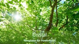  Presentation with spring tree - PPT layouts having environnement - spring tree in park background and a tawny brown colored foreground