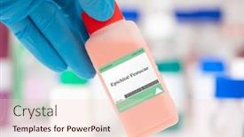  Presentation with fungus - Presentation theme with epichloe-festucae-fungus-a-fungus background and a lemonade colored foreground