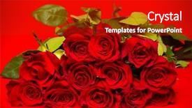  Presentation with love romance - Theme enhanced with epoca romanticismo - fresh red roses background and a  colored foreground