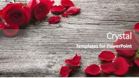  Presentation with valentines day - Audience pleasing PPT theme consisting of epoca romanticismo - roses on rustic wooden board backdrop and a  colored foreground