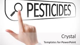  Presentation with pesticides - Slide set featuring eps - pesticides written in search bar background and a white colored foreground