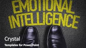  Presentation with emotional intelligence business - Slide deck having eq - top view of business shoes background and a dark gray colored foreground