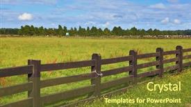  Presentation with field - Colorful PPT theme enhanced with equal grassy farmer field fenced backdrop and a tawny brown colored foreground