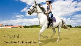  Presentation with equestrian - Cool new slide set with  backdrop and a  colored foreground
