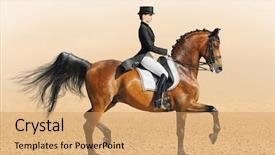  Presentation with stallion - Beautiful presentation theme featuring equestrian sport - dressage young woman backdrop and a coral colored foreground