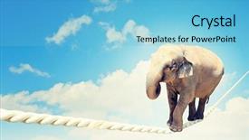  Presentation with high voltage relay protection and automation - Presentation design consisting of equilibrio animal - image of elephant walking background and a  colored foreground