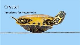  Presentation with sickness - Cool new presentation theme with 3d colored bar graph backdrop and a lemonade colored foreground.