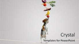  Presentation with smart - Beautiful presentation featuring equilibrio animal - your smart friend mixed media backdrop and a  colored foreground