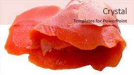  Presentation with salmon - Slide set with turned to song of solomon background and a light gray colored foreground