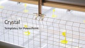  Presentation with farm equipment - PPT layouts featuring equipment at the poultry farm background and a  colored foreground