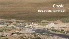  Presentation with ladakh - Slide deck enhanced with equus kiang on changthang plateau background and a  colored foreground