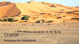  Presentation with morocco culture - Amazing presentation design having erg shebbi desert in morocco backdrop and a coral colored foreground