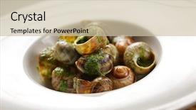  Presentation with green plate - PPT layouts with  background and a  colored foreground