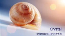  Presentation with sunshine - Colorful slides enhanced with escargot shell in rays of sunshine closeup shallow dof backdrop and a sky blue colored foreground