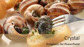  Presentation with snails and forest - Beautiful presentation design featuring  backdrop and a  colored foreground