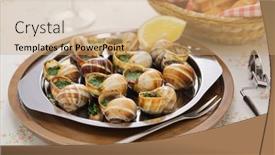  Presentation with butter - PPT layouts enhanced with escargots-snails-with-parsley-garlic background and a coral colored foreground
