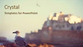  Presentation with morocco - Cool new presentation with essaouira-city-in-morocco backdrop and a soft green colored foreground