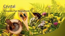  Presentation with healing - Slides enhanced with essencials - wild and healing herbs concept background and a  colored foreground