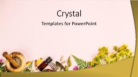 Presentation with phytotherapie set healing herbs dried - Colorful PPT layouts enhanced with essencials - wild and healing herbs concept backdrop and a  colored foreground