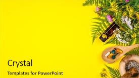  Presentation with phytotherapie set healing herbs dried - Amazing slide set having essencials - wild and healing herbs concept backdrop and a white colored foreground