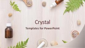  Presentation with spa concept - PPT theme consisting of essential from nature leaves fern background and a sky blue colored foreground