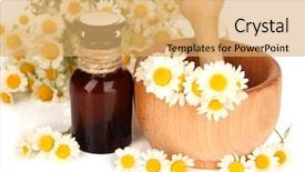  Presentation with chamomile - Amazing PPT layouts having essential oil and chamomile flowers in mortar close up backdrop and a yellow colored foreground