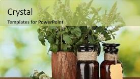  Presentation with essential oil - Presentation theme enhanced with essential oil and mint background and a yellow colored foreground