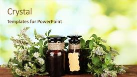  Presentation with essential oil - Colorful PPT theme enhanced with essential oil and mint backdrop and a soft green colored foreground