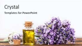  Presentation with lavender flowers - Presentation theme with essentials oils with lavender flowers background and a pink colored foreground