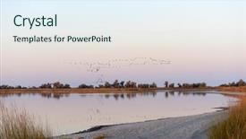  Presentation with birds flying - Presentation design with estuaries - flock of birds flying background and a sky blue colored foreground