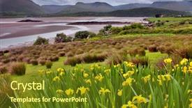  Presentation with green hills - PPT layouts featuring estuary at dingle peninsula flowers background and a tawny brown colored foreground