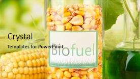  Presentation with bio ethanol - PPT layouts having kids hand with chestnut close up photo background and a coral colored foreground