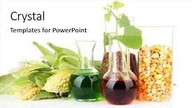  Presentation with bio ethanol - Slide deck having oral defense - doctor writing word fungy background and a white colored foreground.