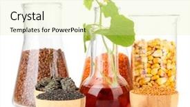  Presentation with bio ethanol - Presentation theme consisting of cows walking along the road background and a gray colored foreground