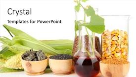  Presentation with bio fuel - PPT theme with ethanol - conceptual photo of bio fuel background and a white colored foreground