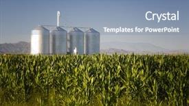  Presentation with corn ethanol - Cool new presentation theme with ethanol - corn crop with farm silos backdrop and a mint green colored foreground