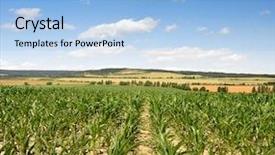  Presentation with ethanol - Cool new slide deck with ethanol - corn field backdrop and a light blue colored foreground