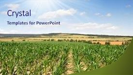  Presentation with ethanol - Beautiful slide deck featuring ethanol - corn field backdrop and a sky blue colored foreground