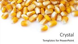  Presentation with corn ethanol - Cool new presentation with ethanol - corn isolated on white backdrop and a white colored foreground