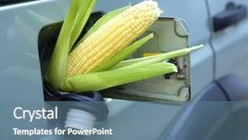  Presentation with tank - PPT theme enhanced with ethanol - corn sticking out of gas background and a seafoam green colored foreground